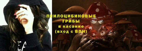 индика Медногорск