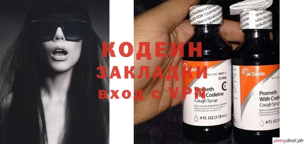 индика Медногорск