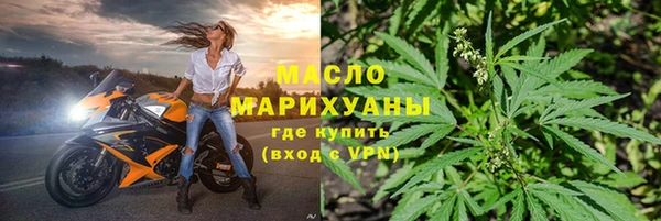 индика Медногорск