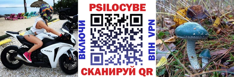 Купить закладки  Ясногорск  Галлюциногенные грибы мухоморы 